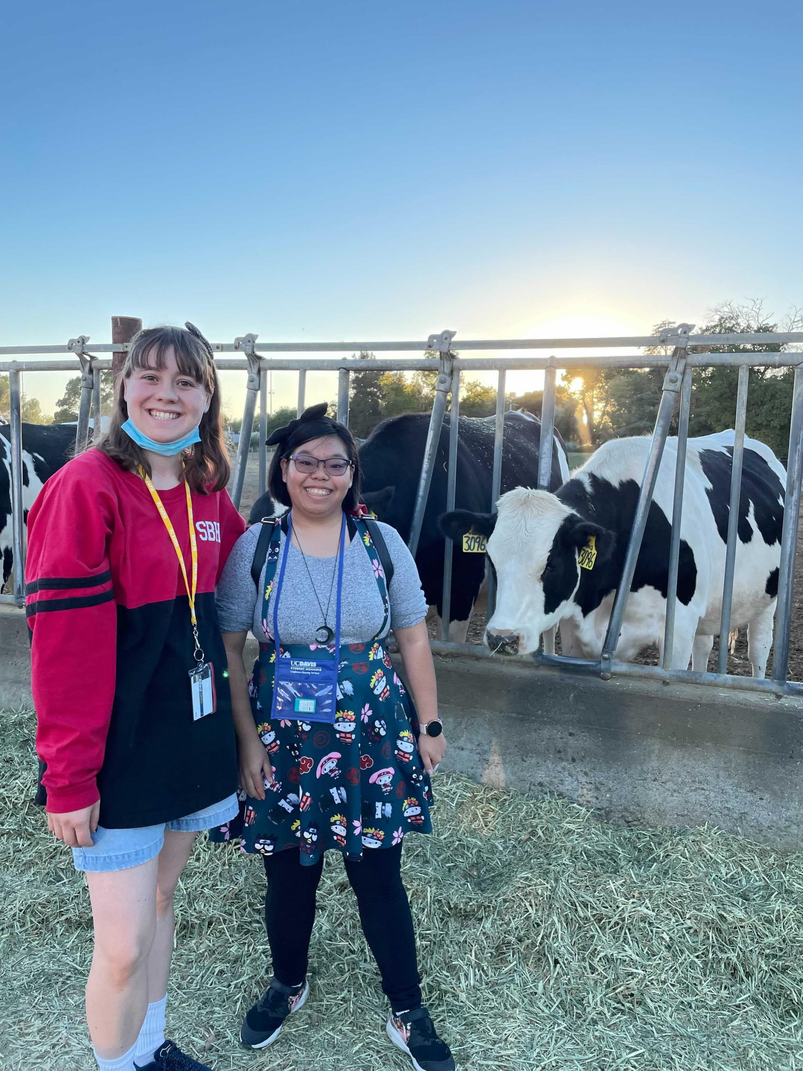 two students posing with cows