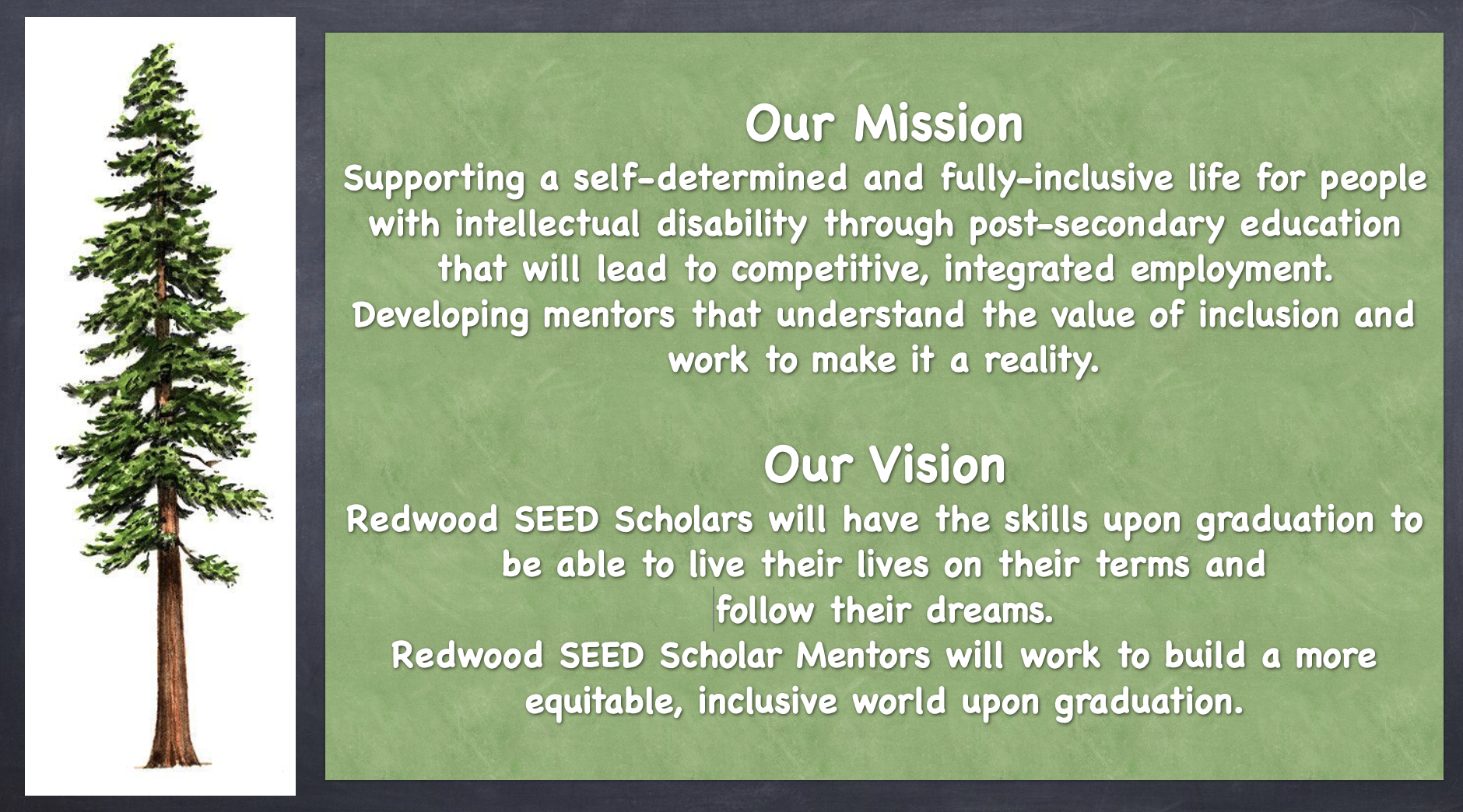 mission and vision statements for redwood seed scholars