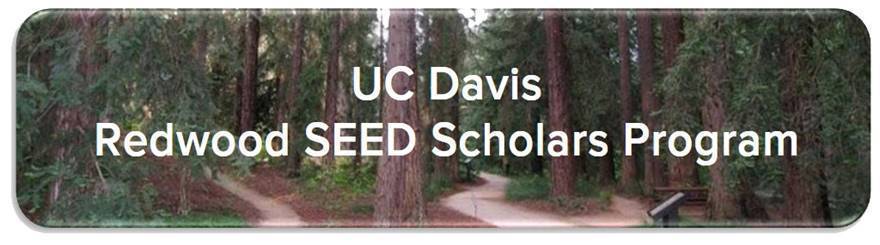 image of redwoods with UC Davis Redwood SEED Program written