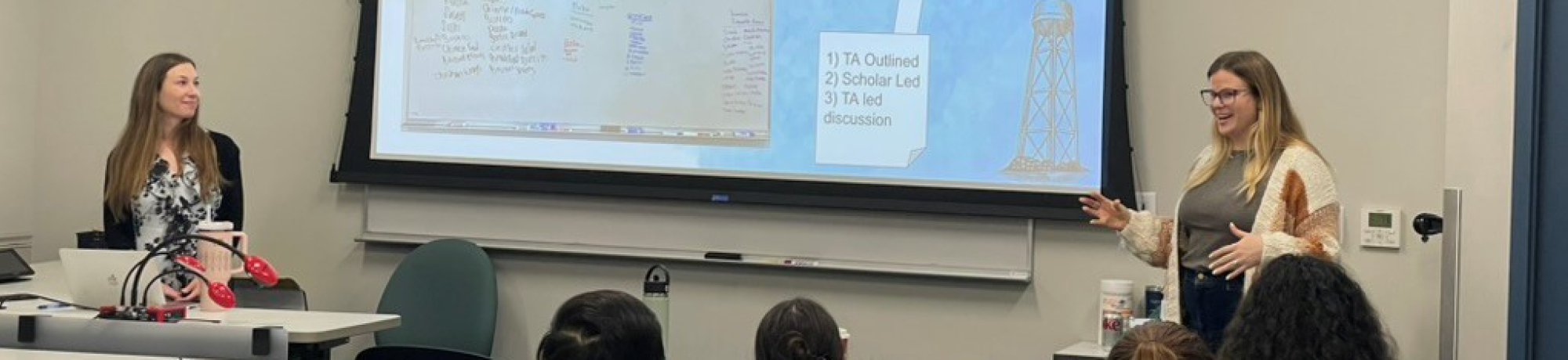 two professors teaching a class